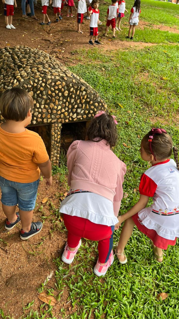 Projeto do PUFV : Como é um pato de verdade?