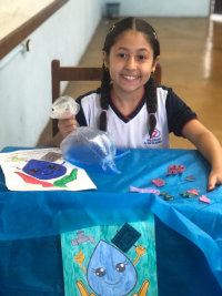 A import&acirc;ncia da &aacute;gua para a vida do planeta. 🌍 💦