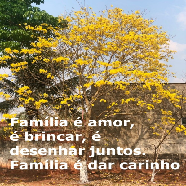 Semana da Família Escola Anchieta