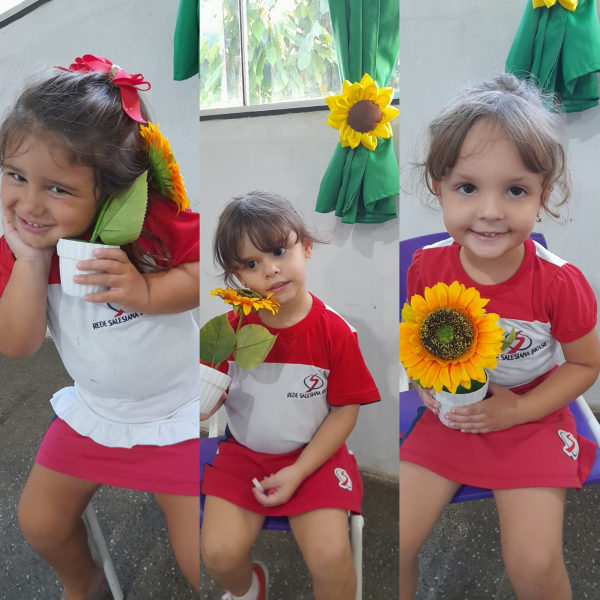 Girassol- Maternal 3.