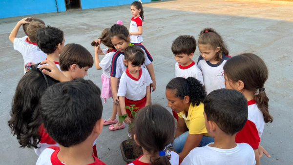 Atividade do dia da 🌳 &Aacute;rvore 🌳 Educa&ccedil;&atilde;o Infantil.