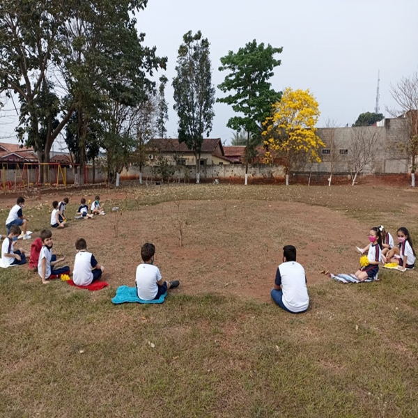 ATIVIDADES 2º ANO – DISCIPLINA CIÊNCIAS CONHECENDO UM POUCO SOBRE PLANTAS.