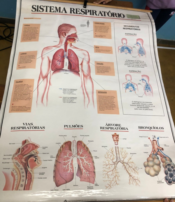 Aula prática sobre o funcionamento do corpo em especial a parte respiratória.