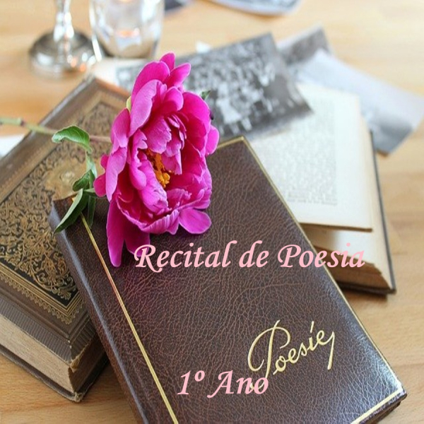 RECITAL DE POESIA.