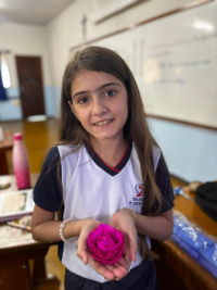 Confec&ccedil;&atilde;o de rosas utilizado papel seda, crepom, rolinho de papel higi&ecirc;nico, cola e tesoura.