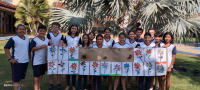Criar arte sustentável: explorando a natureza e a reciclagem!