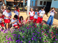 🌿🔎 Observadores da natureza