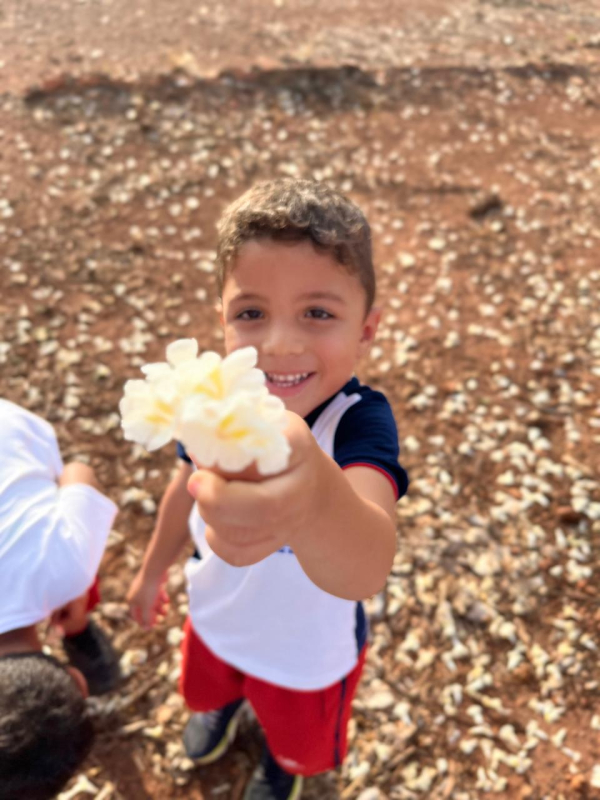 Primavera chegou!🌻🌸🌺🌷💐🌼